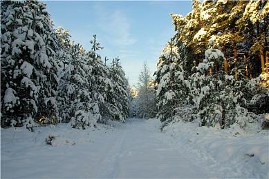 国产恐怖游戏《纸嫁衣》steam版发行时间确定 12月3日开售