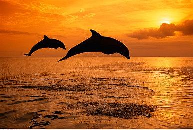 9月超爽的防守地图！KK官方对战平台《弓箭手羁绊》上线！